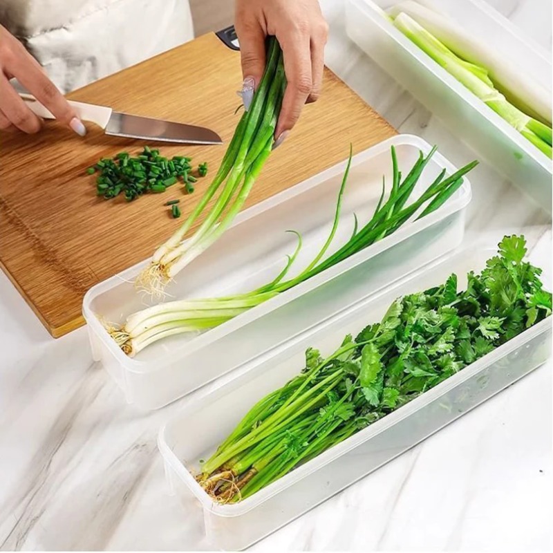 กล่องเก็บรักษาความสดของหอมแดง  - Commercial Kitchen Organization บทวิจารณ์และราคา
